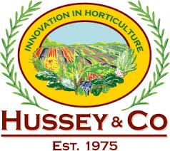 Hussey (R) Wild Rocket