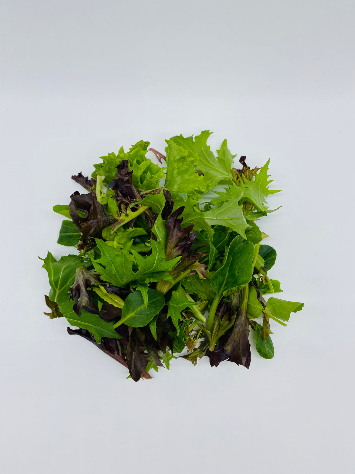 Coolibah (R) Organic Mesclun