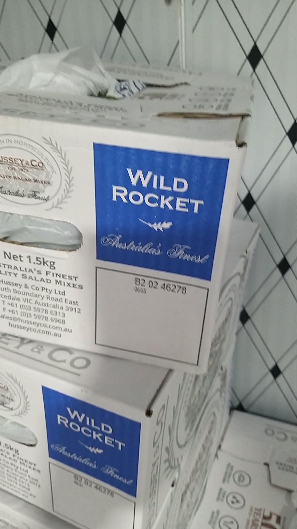 Hussey (R) Wild Rocket