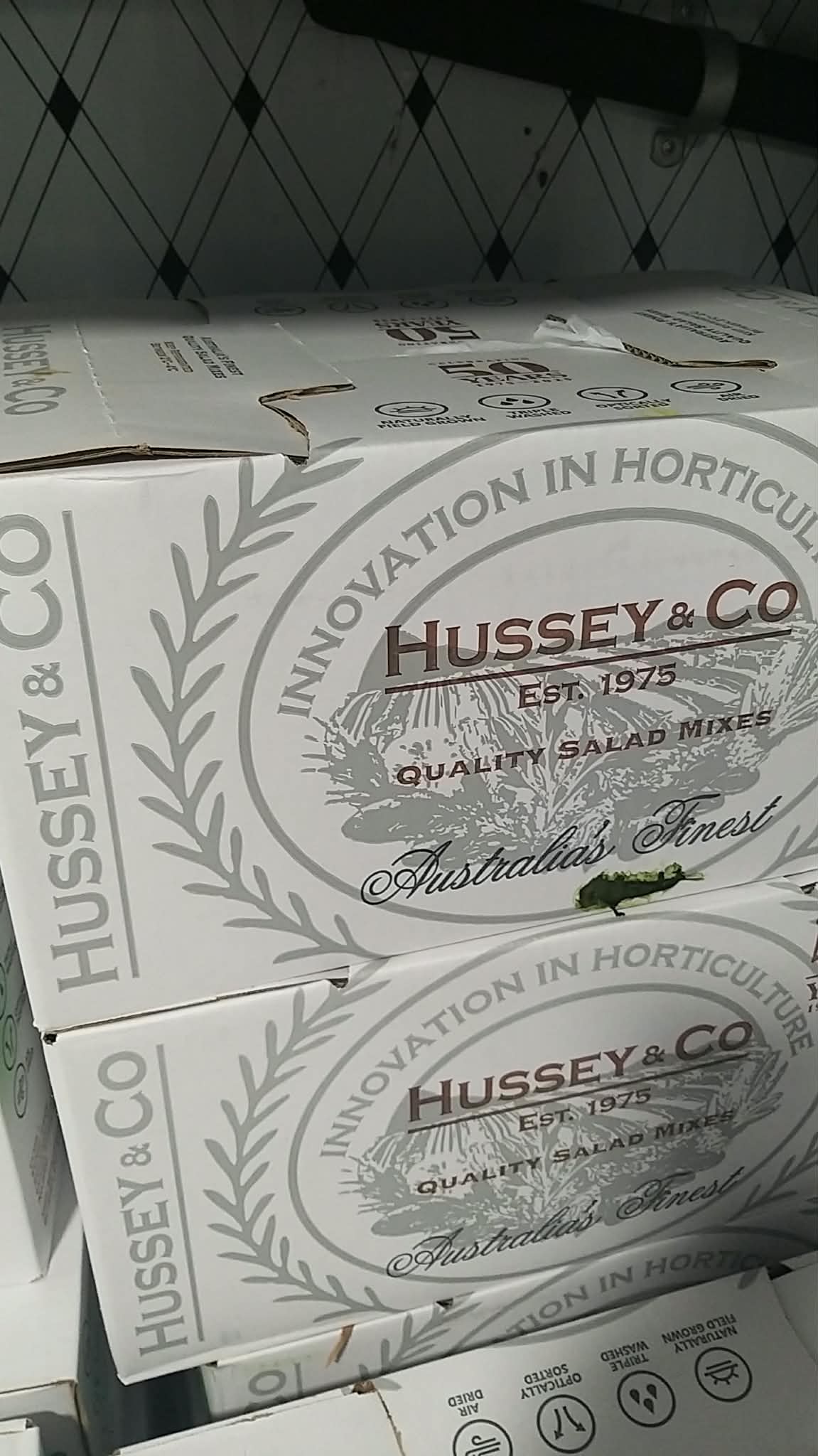 Hussey (R) Mesclun
