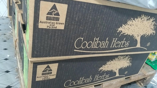 Coolibah (R) Organic Mesclun